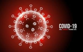 Up Data Virus Corona Dari Website Resmi Covid-19