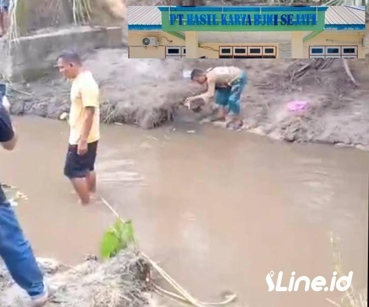 Pipa Limbah PT HKBS Pujud Pecah, Aliran Anak Sungai Batang Kumu Pujud Tercemar dan Banyak Ikan Mati