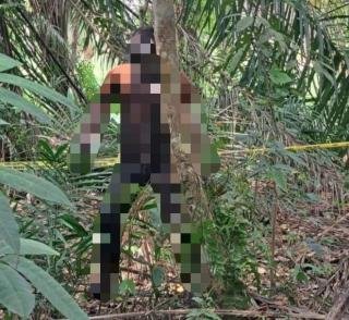 Penemuan Mayat Yang Tewas Tergantung di Kebun Karet Tanah Putih Rohil Masih Jadi Misteri