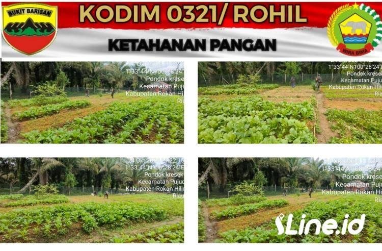 Guna Mensukseskan Program Swasembada Pangan Di Wilayah Desa Binaanya, Babinsa Koramil 06/TM Berikan Pendampingan