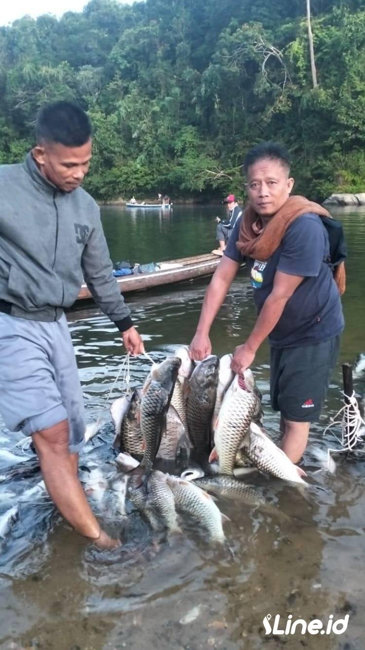 Tradisi Budaya Cokaw Ikan Lubuk Larangan Desa Tanjung Belit, Efri : Adat Istiadat Turun Temurun