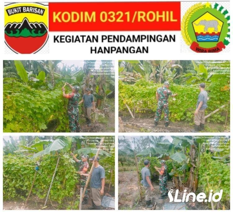 Datangi Petani Tanaman Pare Pahit, Babinsa Koramil 06/TM Berikan Pendampingan