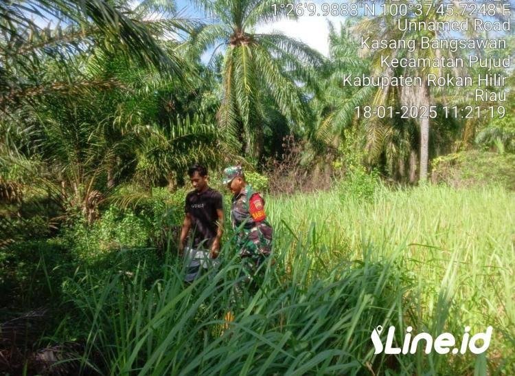 Upayakan Tidak Terjadi Karhutla, Babinsa Koramil 0321-06/TM  laksanakan Patroli Dan Sosialisasi