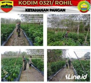 Wujud Kepedulian Kepada Warga Binaan, Babinsa Koramil 06/TM Laksanakan Pendampingan