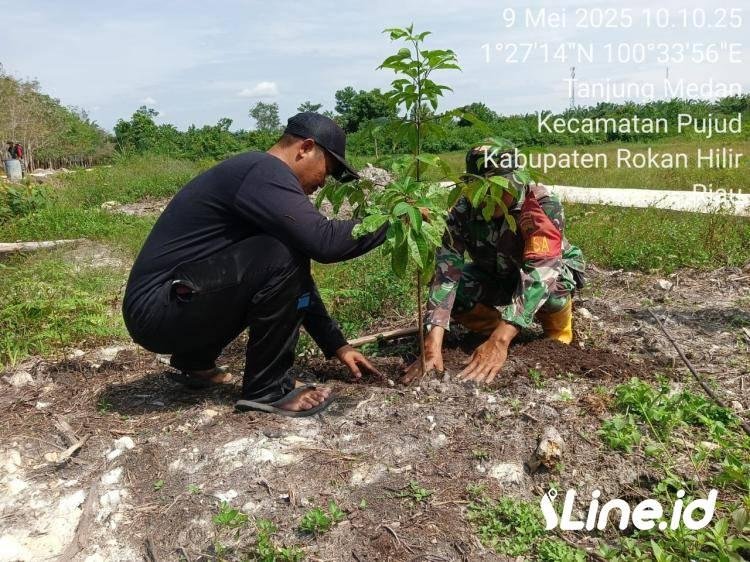 Jaga Kelestarian Alam, Babinsa Koramil 06/TM Kodim 0321/Rohil Ajak Masyarakat Penghijauan alam Sekitar