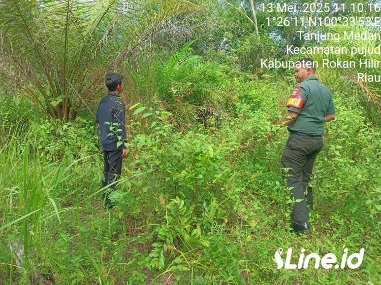Tingkatkan Kewaspadaan, Babinsa Koramil 06/TM Kodim 0321/Rohil Rutin Laksanakan Patroli