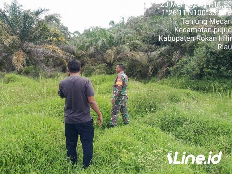Tingkatkan Kewaspadaan, Babinsa Koramil 06/TM Kodim 0321/Rohil Laksanakan Sosialisasi Dan Patroli