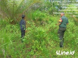 Tingkatkan Kewaspadaan, Babinsa Koramil 06/TM Kodim 0321/Rohil Rutin Laksanakan Patroli