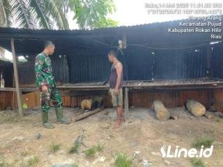 Tingkatkan Mutu Jual, Babinsa Koramil 06/TM Kodim 0321/Rohil Dampingi Pelaku UMKM Ikan Salai
