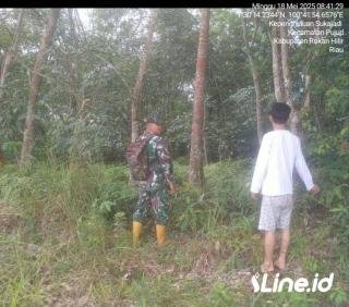 Menjaga Lingkungan Sekitar, Babinsa Koramil 06/TM Kodim 0321/Rohil Tingkatkan Patroli