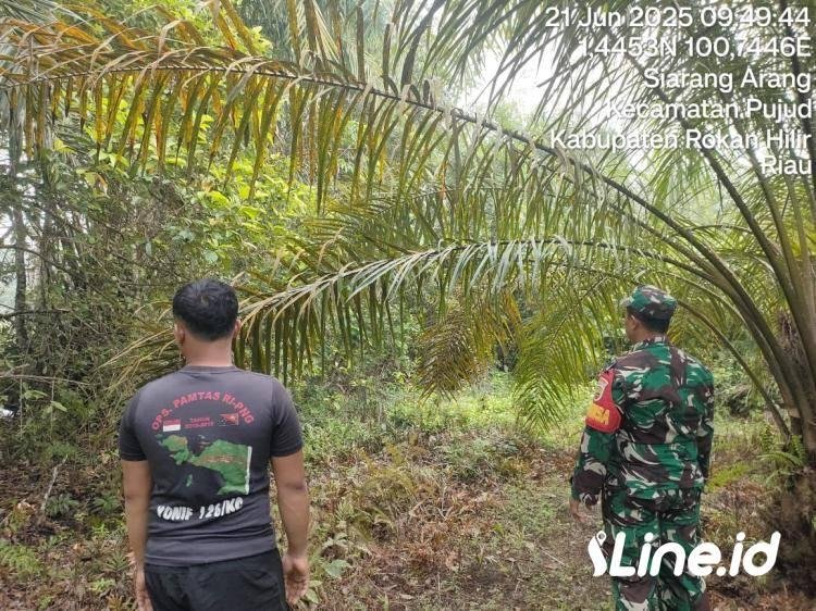 Intensif Lakukan Patroli Dan Sosialisasi, Babinsa Koramil 06/TM Kodim 0321/Rohil Ajak Masyarakat Untuk Tidak Membakar