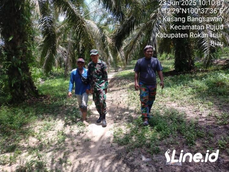 Lakukan Penyisiran, Babinsa Koramil 06/TM Kodim 0321/Rohil Terus Laksanakan Patroli