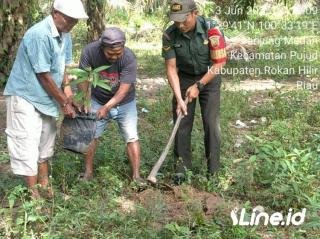 Laksanakan Penghijauan, Babinsa Koramil 06/TM Kodim 0321/Rohil Ajak Masyarakat Menanam Pohon