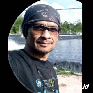 Peringati Hari Lingkungan Hidup, Mandala Foundation Hijaukan Hutan Kampar