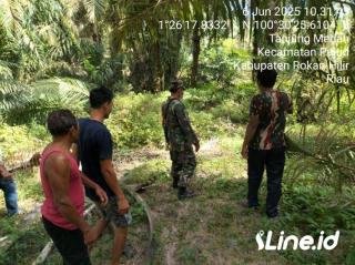 Telusuri Semak Belukar Wilayah Desa Binaan, Babinsa Koramil 06/TM Kodim 0321/Rohil Laksanakan Patroli