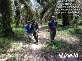 Lakukan Penyisiran, Babinsa Koramil 06/TM Kodim 0321/Rohil Terus Laksanakan Patroli
