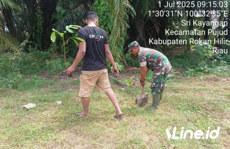 Lakukan Penghijauan Wilayah Desa Binaan, Babinsa Koramil 06/TM Kodim 0321/Rohil Ajak Warga Lestarikan Lingkungan Sekitar
