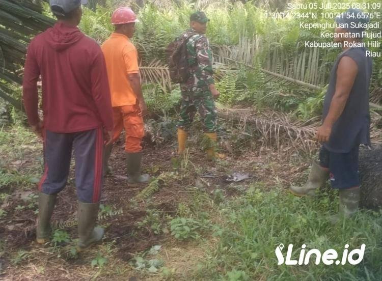 Bentuk Keseriusan Mencegah Terjadi Nya Karhutla, Babinsa Koramil 06/TM Kodim 0321/Rohil Terus Lakukan Patroli