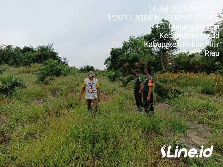 Telusuri Semak Belukar, Babinsa Koramil 0321-06/TM Rohil, Lakukan Pencegahan Dan Sosialisasi Kepada Masyarakat