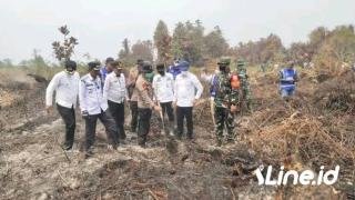 Serukan Penanganan Serius dan Terpadu, Menteri LHK Tinjau Langsung Lokasi Karhutla di Rokan Hilir