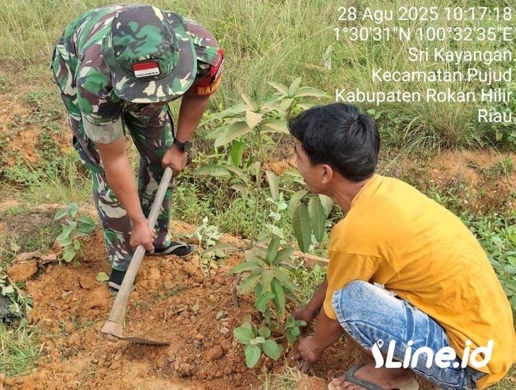 Ajak Warga Wilayah Desa Binaan Tanam Pohon, Babinsa Koramil 0321-06/TM Rohil Lakukan Penghijauan