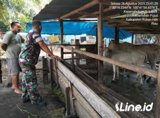 Cegah Penularan Penyakit Mulut Dan Kuku, Babinsa Koramil 0321-06/TM Rohil Ajak Warga Memiliki Ternak Jaga Kebersihan