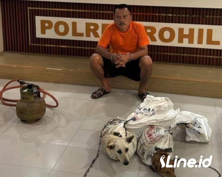 Sat Reskrim Polres Rokan Hilir, Menangkap Satu Tersangka Terduga Penjagalan Anjing  Dibagan Batu Kota Kec Bagan Senembah