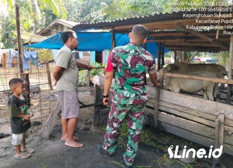Cegah Penyakit Mulut Dan Kuku Pada Hewan Ternak Warga, Personil Koramil 0321-06/TM Rohil Langsung Datangi Kandang Milik Warga