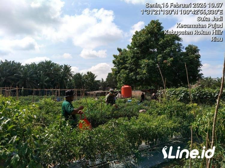 Tingkatkan Perekonomian Warga Binaan, Personil Koramil 0321-06/TM Rohil Ajak Masyarakat Gunakan Lahan Kosong