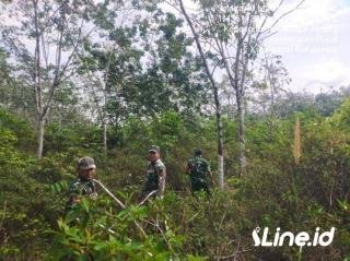 Telusuri Semak Belukar, Personil Koramil 0321-06/TM Rohil Sosialisasikan Larangan Membakar Hutan Dan Lahan