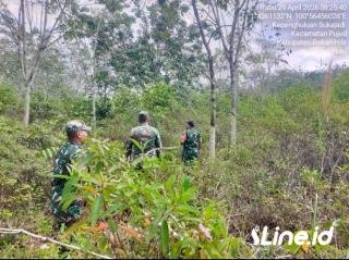 Gencar Lakukan Patroli Diwilayah Yang Dianggap Rawan, Personil Koramil 0321-06/TM Rohil Ajak Warga Selalu Waspada Karhutla