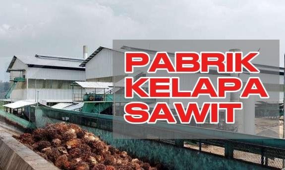 Disbun Riau Warning PKS, Permainan Harga TBS Akan Ditindak Tegas