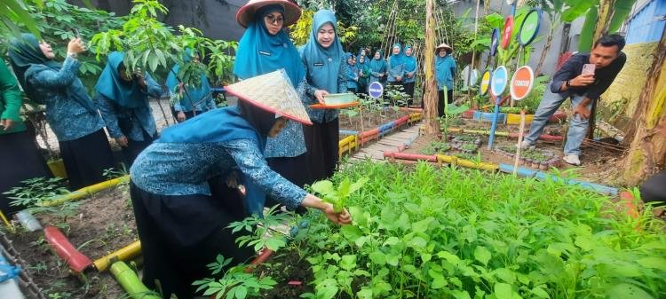 Sulastri Agung Tinjau Kebun Aku Hatinya PKK RW 5 Tobek Godang, Dorong Ketahanan Pangan Warga