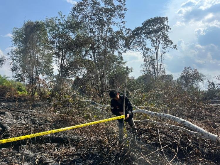 Polisi Tangkap Pria Diduga Bakar Lahan untuk Buka Kebun Sawit di Pelalawan
