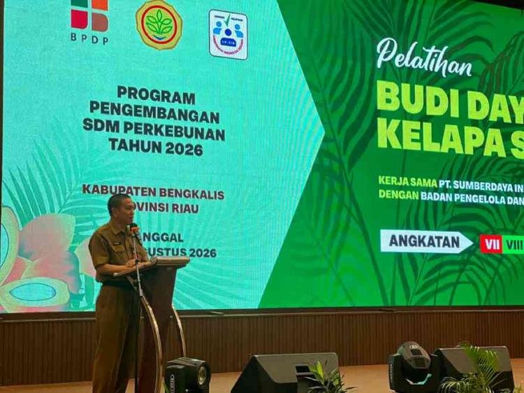 Disbun Bengkalis Latih 89 Pekebun Budidaya Sawit