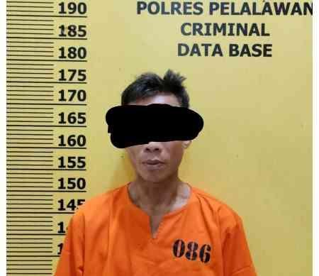 Polsek Langgam Ungkap Dugaan Peredaran Sabu, Pria 44 Tahun Diamankan