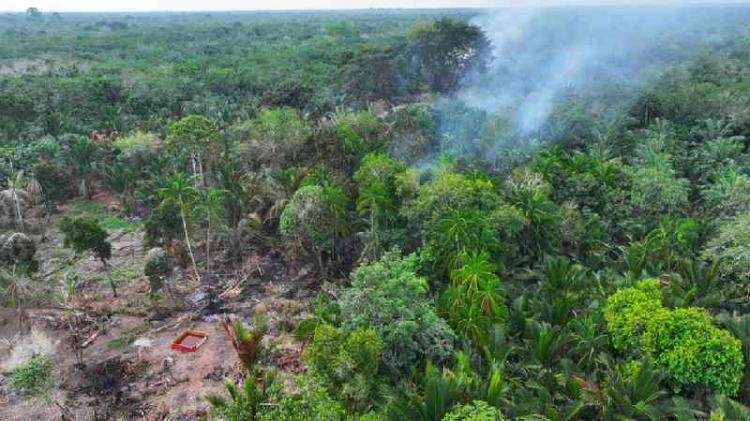 Polisi Kembali Tetapkan Dua Tersangka Kasus Kebakaran Lahan di Bengkalis