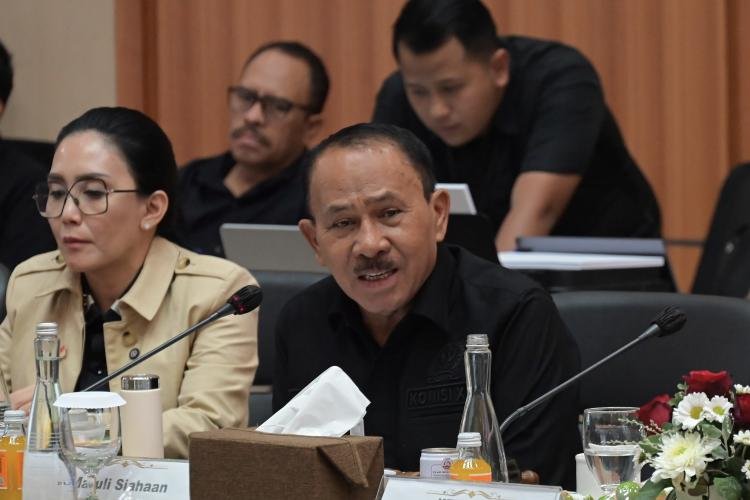 Komisi XIII DPR Dorong Digitalisasi dan Database Tunggal Profesi Kurator