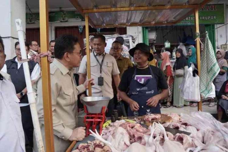 Mendag Pastikan Harga Ayam Stabil, Pemerintah Jaga Keseimbangan Peternak dan Konsumen