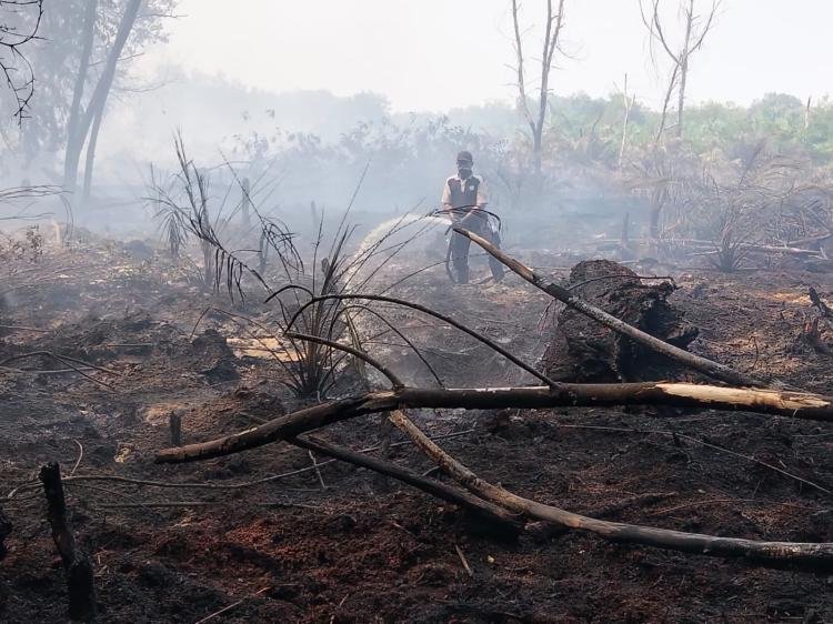 Bupati Siak Ingatkan Perusahaan dan Warga Tak Bakar Lahan