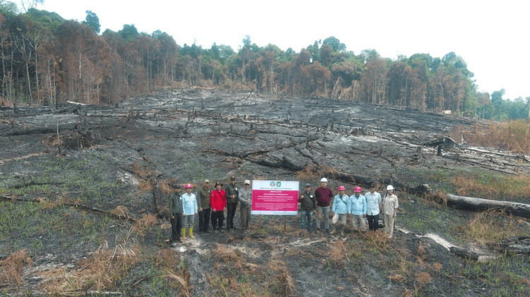 Kemenhut Sanksi Enam Perusahaan, Karhutla Capai 1.511 Hektare