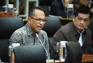 DPR Minta Kemenhut Perkuat Pencegahan Karhutla di Sumsel