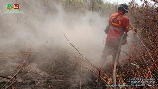 Karhutla Sungai Guntung Hilir Belum Padam, Api Merangsek ke Hutan Primer