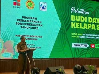 Disbun Bengkalis Latih 89 Pekebun Budidaya Sawit