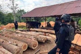 Polda Riau Tangkap DPO Kasus Perdagangan Kayu Ilegal di HPT Lipai Siabu