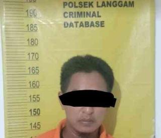 Polsek Langgam Ungkap Pencurian Kabel Tembaga di PKS PT Mitrasari Prima