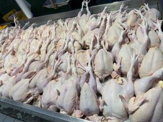 Harga Ayam Ras di Siak Melonjak, Bupati Afni Cek Lapangan 