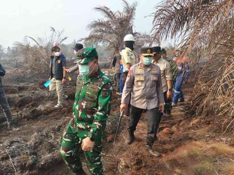 Polda Riau Tetapkan 44 Tersangka Karhutla 