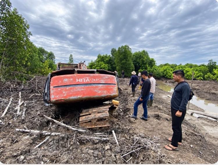 Polda Riau Ungkap Perambahan 111,77 Hektare Kawasan Mangrove di Dumai